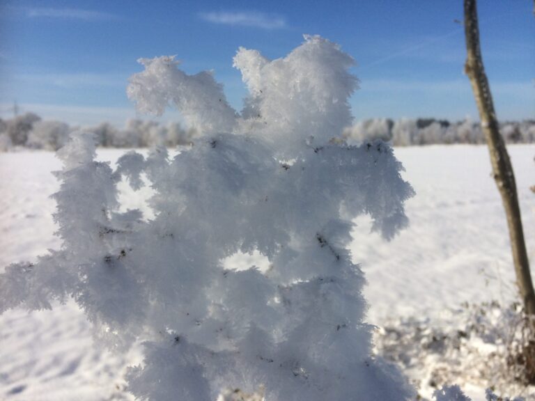 Eine Flocke macht noch keinen Winter