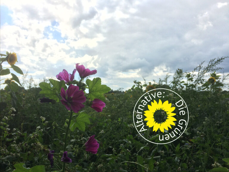 Ausschussmehrheit scheut den Niedersächsischen Weg