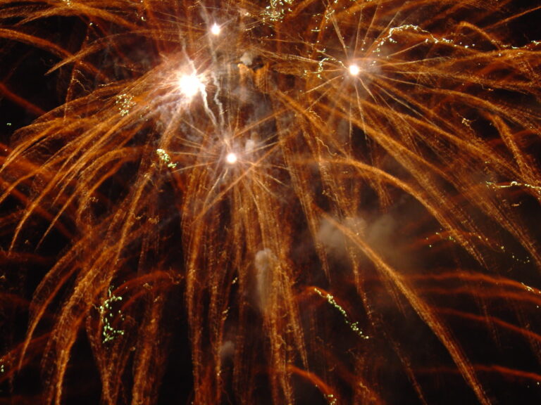 Jahresrückblick Bündnis 90 / Die Grünen