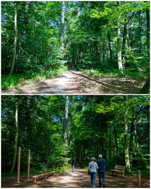 Fitness im Gehölz? Go for it! 💪🏻🌻

In Lilienthal haben wir an zwei zentralen Stellen im Innenort zwei kleine Naherholungsgebiete: das Mittelholz und das Butendieker Gehölz. Beide sind als Landschaftsschutzgebiet ausgewiesenen Bereiche und werden von zahlreichen Bürgerinnen und Bürgern täglich besucht.

Viele junge Menschen haben uns ihren Wunsch geteilt, in Lilienthal Möglichkeiten zu haben, draußen Sport zu betreiben - insbesondere Outdoor-Fitness wie Calisthenics oder Fitness-Parcours stehen sehr weit oben auf der Wunschliste. Der Wunsch nach Bewegung treibt viele junge Menschen an und Fitnessstudios werden zu Treffpunkten dieser Generation. Doch nicht alle Menschen können sich die Gebühren für ein Fitnessstudio leisten. 

Parallel fordern junge Menschen Treffpunkte und Orte im öffentlichen Raum ein, um unter sich zu sein und sich zu treffen oder Zeit miteinander zu verbringen.

✅ Unsere Lösung: im Mittelholz und/oder Butendieker Gehölz einen Fitness-Parcours einrichten! 💯 Durch geeignete Auswahl der Geräte können davon nicht nur sportlich ambitionierte Menschen sondern generationübergreifend alle Bürgerinnen und Bürger profitieren. Denn Sport bringt Menschen zusammen und ins Gespräch - unerheblich vom Alter.

Einen Antrag zur Prüfung und Errichtung eines entsprechenden Parcours hat die Ratsfraktion der Grünen bereits in der letzten Ratsperiode zweimal eingebracht - scheiterte jedoch jedes Mal an der ablehnenden Haltung von CDU/FDP und „Für Lilienthal“. Zitat „der Wald soll bleiben wie er ist“ 🙄…. Nicht einmal einer Prüfung der Voraussetzungen zur Installation durch den Landkreis wurde zugestimmt. Ist das zu fassen?🤯

Der Wald darf auch bleiben, er soll nur sinnvoll ergänzt und für noch mehr Menschen ein Aufenthaltsort werden. Wir haben das mal bildlich nachgestellt 😉

Weiterer Pluspunkt: ein Wald ist unschlagbar darin, Hitzewellen erträglicher zu machen, da er die Außentemperatur um bis zu 6 Grad herunterkühlt. Gerade für kleine Kinder und ältere Menschen ist das wichtig und wertvoll. 🤞🏻

In diesem Sinne: wir setzen auf neue Mehrheiten im Gemeinderat und werden unseren Antrag dann erneut einbringen!🤞🏻

MACH‘S GRÜN 🌻
Am 13.09.26 Grün wählen 💚💛
