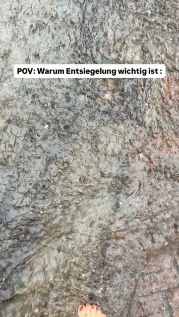 POV: warum Entsiegelung wichtig ist.

Starkregen in Lilienthal am 28.08.2026

Binnen weniger Minuten ist die Kanalisation überlastet und es bilden sich große Wasserflächen auf Straßen, Wegen, öffentlichen Plätzen und Gärten. 

Ein länger anhaltendes Starkregenereignis führt zu Überschwemmungen und hohen Schäden - durch gezielte Entsiegelung kann dem entgegen gewirkt werden.

Abpflastern! 💪🏻

🌻MACH‘S GRÜN
Am 13.09.26 GRÜN wählen 💚💛