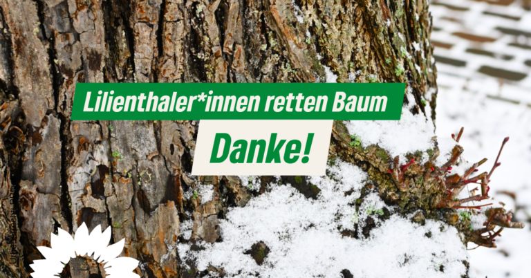 Der Baum ist gerettet. Vorerst.