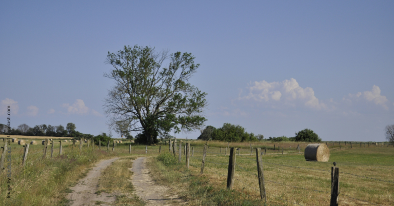 Klimaschutz und Nachhaltigkeit