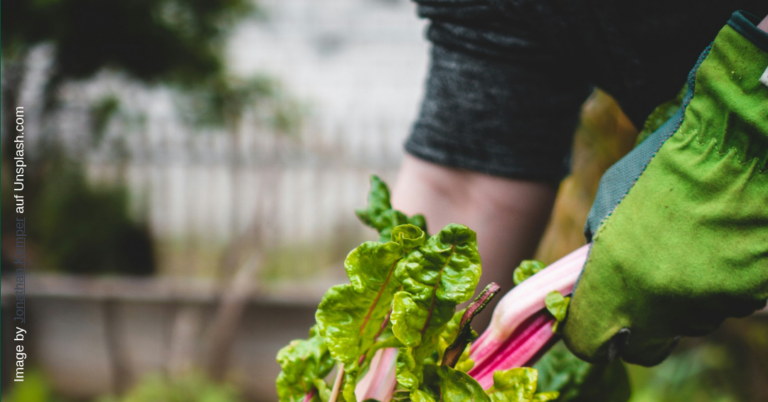 Landwirtschaft und Konsum