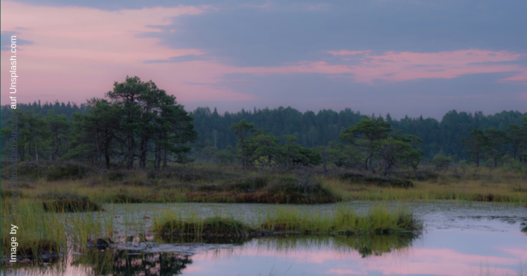 Umwelt- und Naturschutz